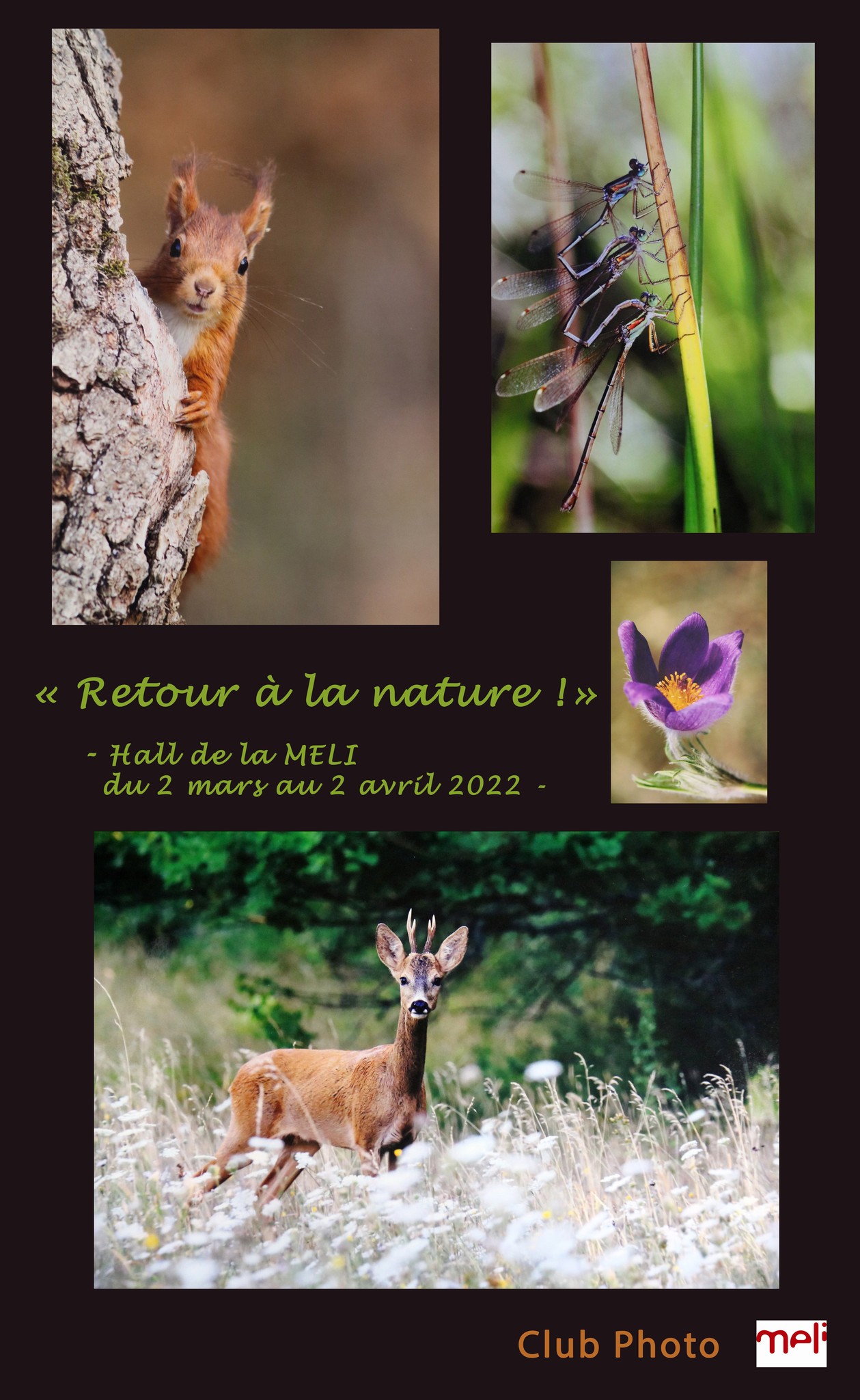 Retour à la Nature !