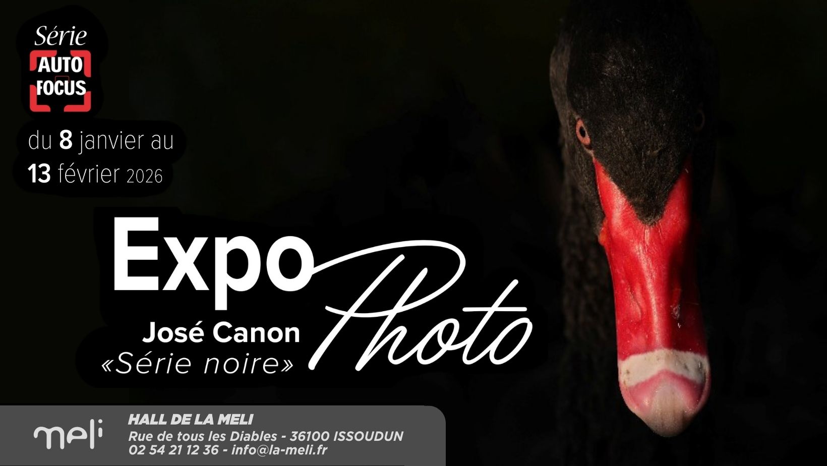 AUTOFOCUS: « Série Noire »